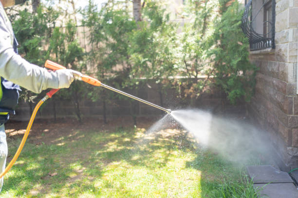 Seasonal Pest Control (e.g., summer mosquitoes, winter rodents) in Northwest Harborcreek, PA